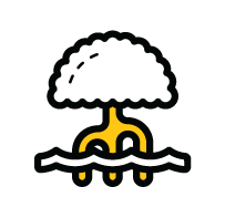 Icon 1
